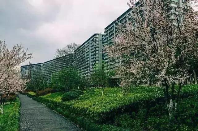 月薪 2 万的阿里巴巴员工，壕到你真的无法想象